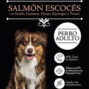 Superfood 65 Salmón Adulto